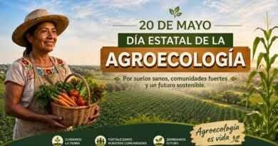 Margarita González Saravia impulsa el cambio: “Trabajamos de la mano con productores para llevar alimentos sanos y sustentables a los hogares morelenses”.
